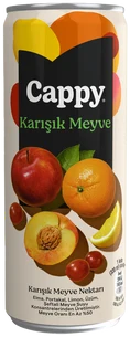 Cappy karışık meyve nektarı 330 ml