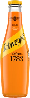 Schweppes 250 ml cam şişe